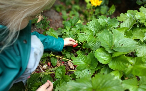 Enthousiaste waldorfleerkracht voor kleuterklas